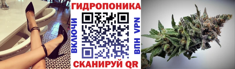 продажа наркотиков  Гремячинск  Бошки Шишки VHQ 